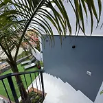 The Emerald Oasis * Los Realejos